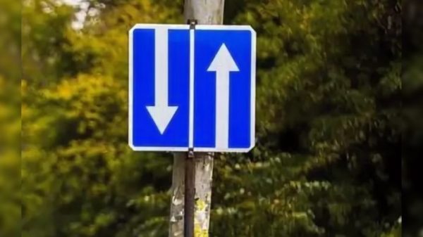 Садоқат ва кизб