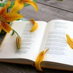 Меҳри ту маро боло бурд