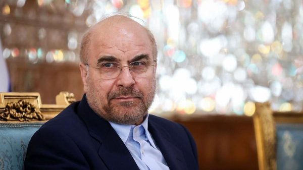 Қолибоф: Бояд ба даҳани мутаҷовиз зад!